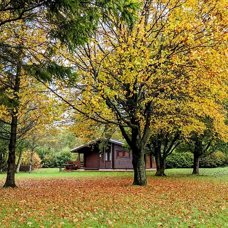 Pinecroft * イングルトン